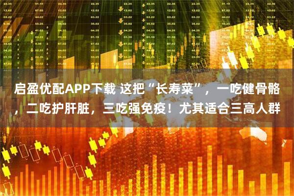 启盈优配APP下载 这把“长寿菜”，一吃健骨骼，二吃护肝脏，三吃强免疫！尤其适合三高人群